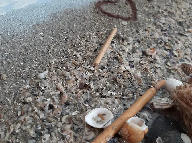 And Restaurant My Hotel 3*